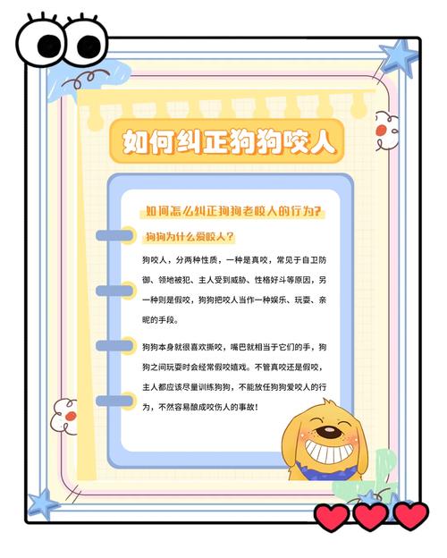 如何让狗狗不再咬人