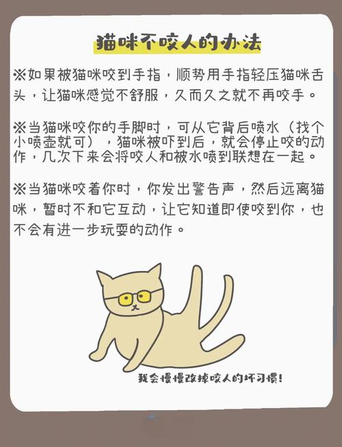 猫咪老是咬人怎么办?试试这些解决办法!