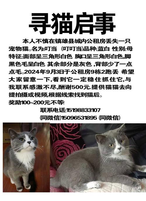 猫来家是戴孝,还是开当铺,我很相信迷信的,那只猫来了我家不走了_百度知...