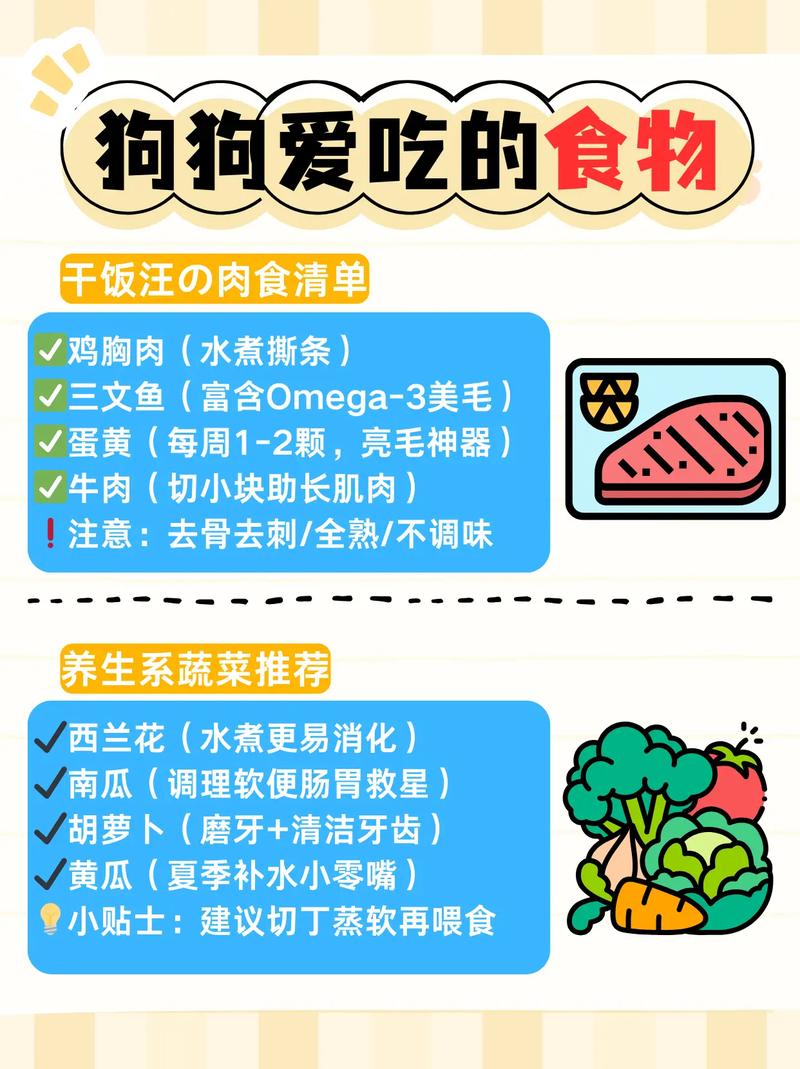 可以喂给狗狗零食和饭吃吗