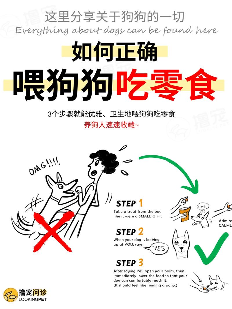 4个月狗可以吃零食吗