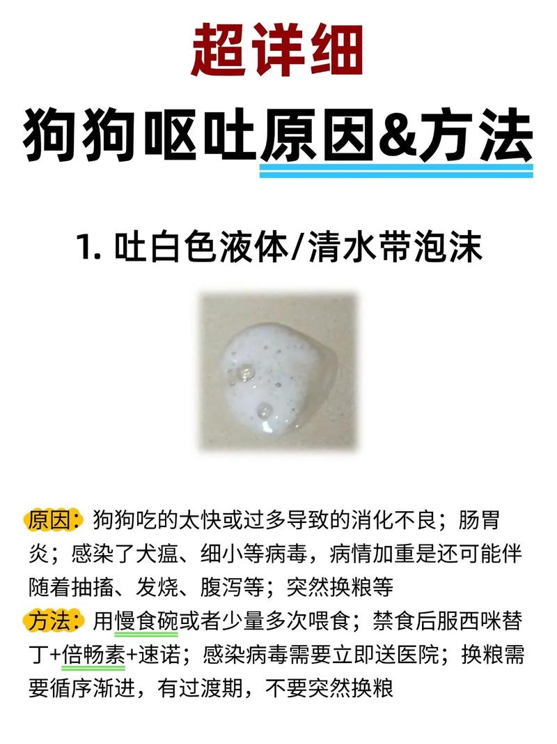 狗狗连着两天呕吐,一天一次怎么回事