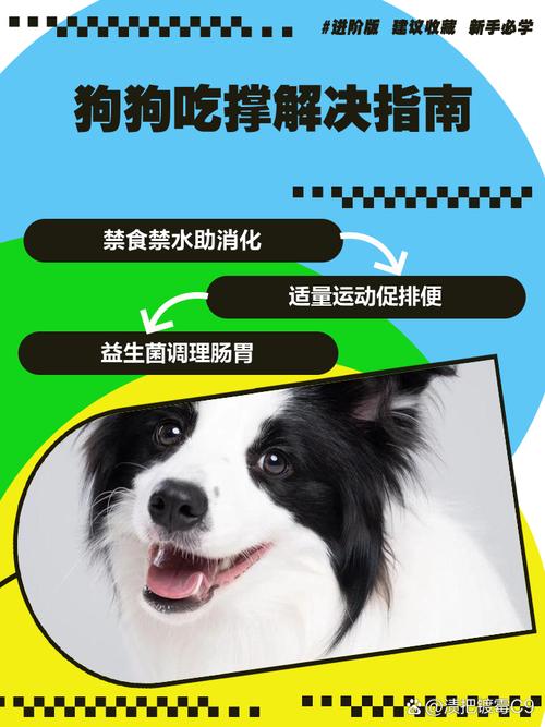 狗狗吃撑了还有救吗