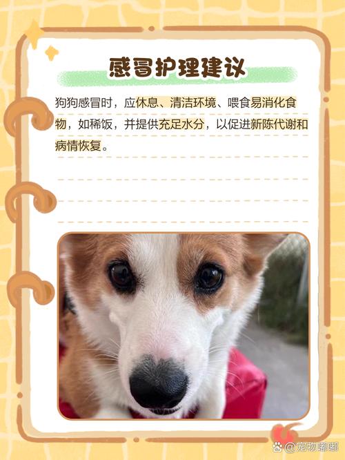 狗感冒一般几天自愈?