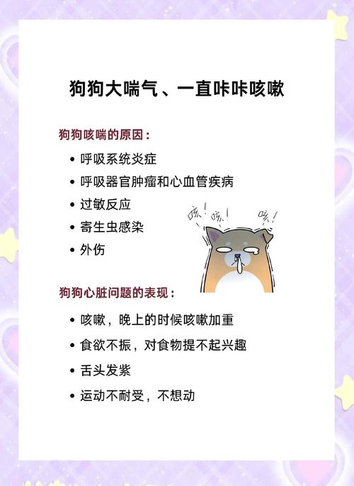 狗狗咳嗽是什么原因造成的
