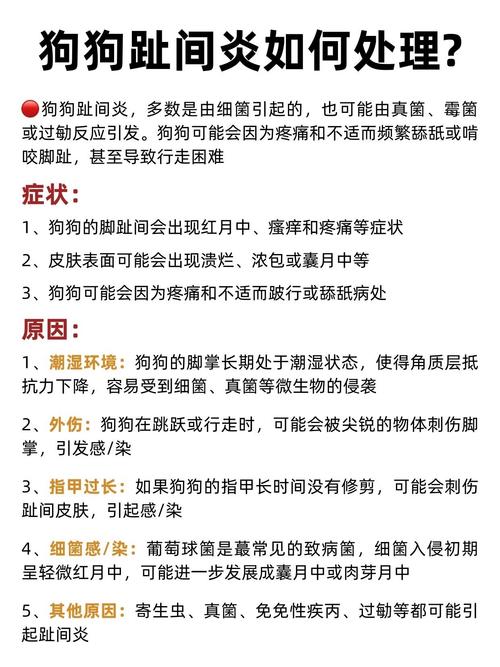 狗狗得了趾间炎,怎么办,不严重