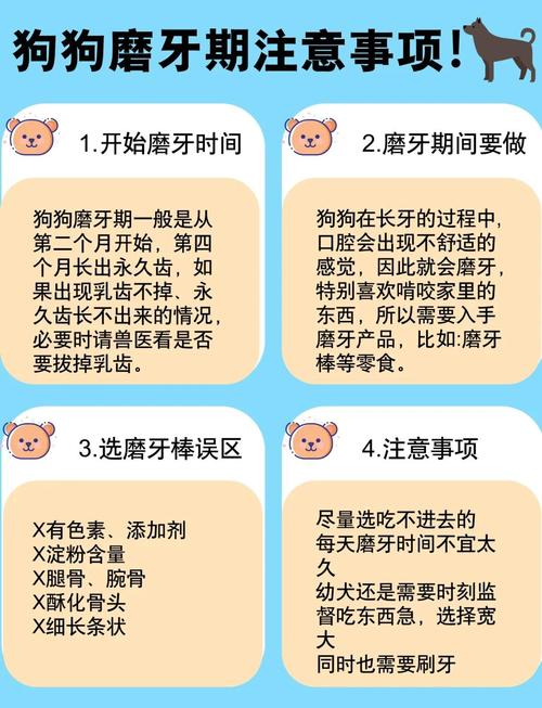 狗狗磨牙棒多久吃一次