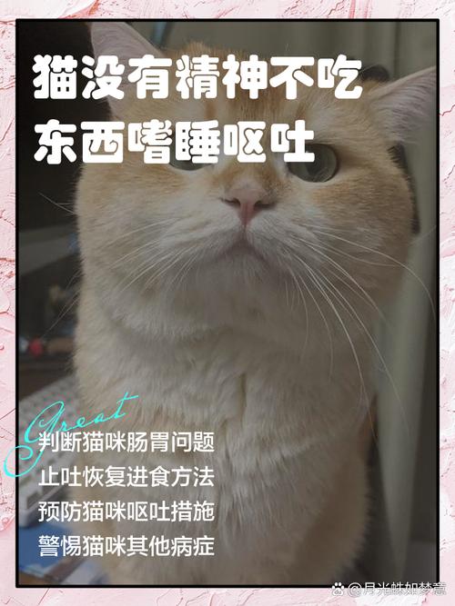 猫咪走丢再回来嗜睡不吃东西没有精神还会奇怪的叫?