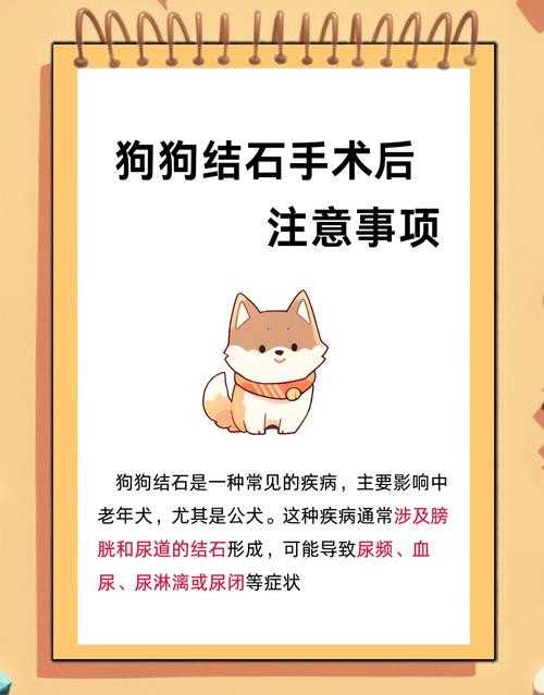 狗狗尿结石手术多少钱