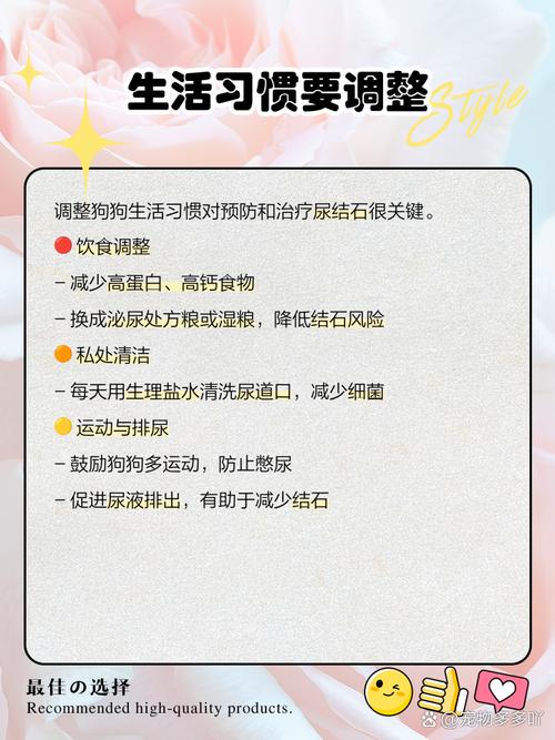 狗狗尿结石最快的排出方法