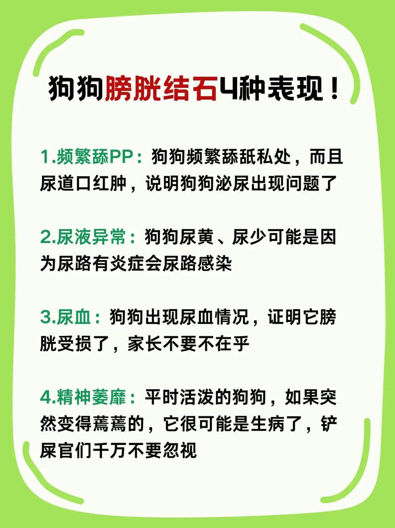 狗狗的了尿路结石,手术要多少钱?若不用手术怎么治疗啊??