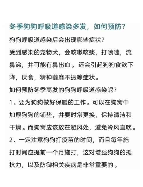 狗呼吸道感染症状