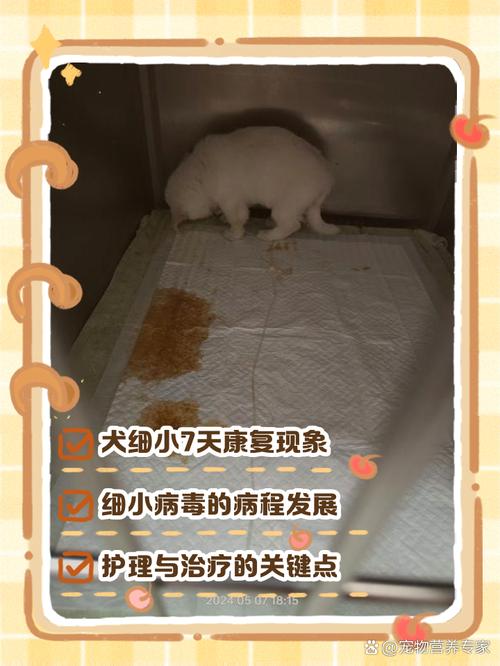 狗狗得了细小比较多能活几天