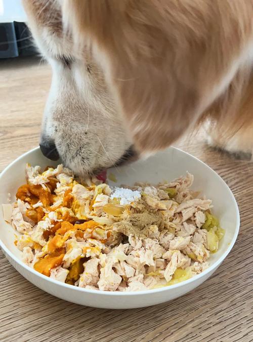 狗狗吃什么蔬菜补充微量元素