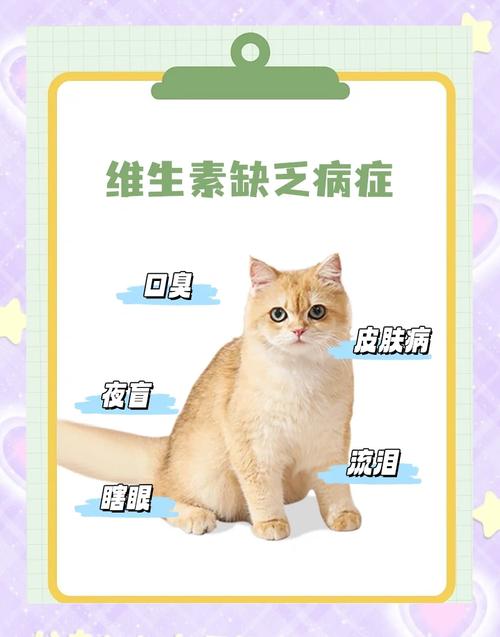 狗狗缺乏维生素会有什么危害