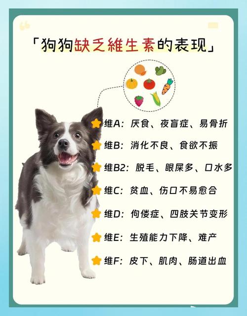 狗狗缺乏维生素有什么表现