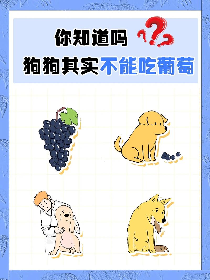 狗狗吃葡萄后多久可以确认没事