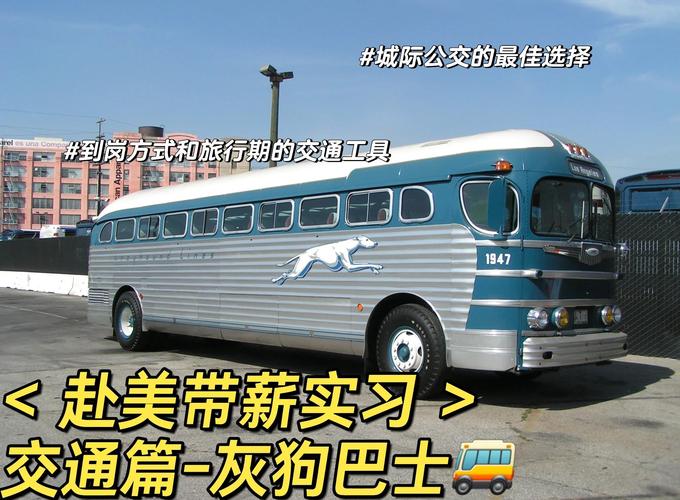 七个小时的客车可以带狗狗么。