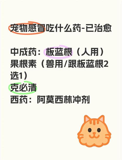 3个月狗感冒板蓝根吃法