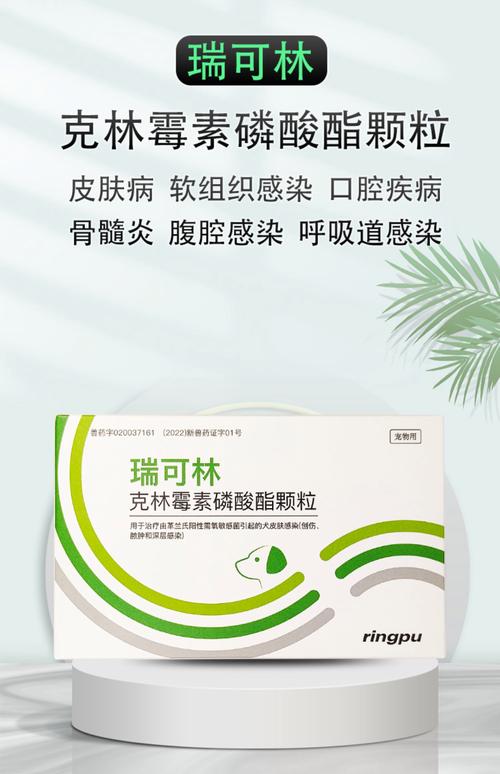 狗咳嗽吐白色粘液吃什么药