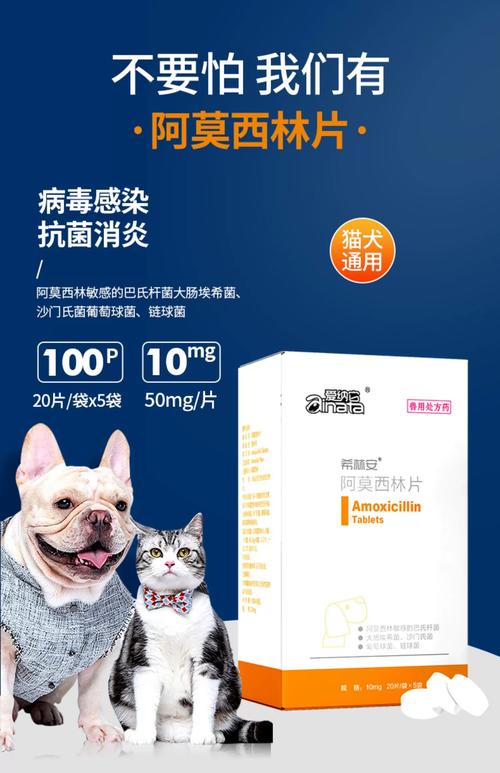 狗狗呼吸道感染咳嗽吃什么药