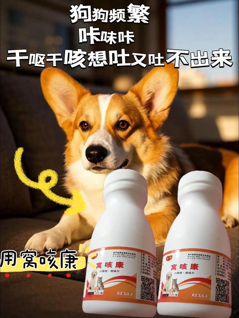狗狗呼吸道感染吃什么药