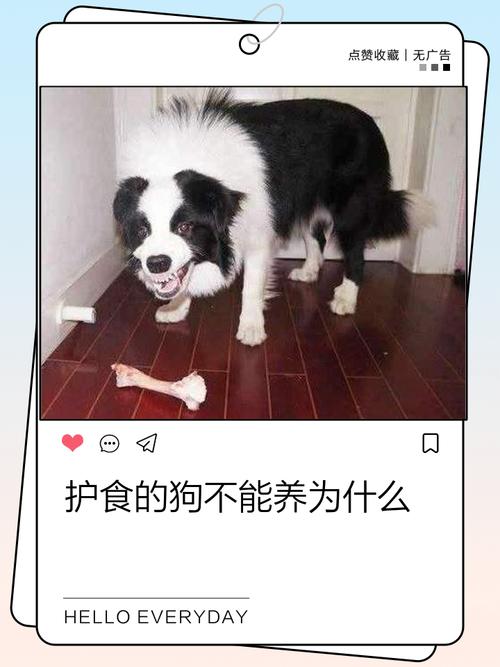 第一次寄养狗狗不要超过几天