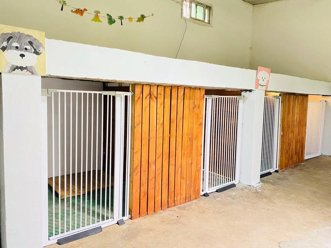 狗狗寄养会不会以为不要它了