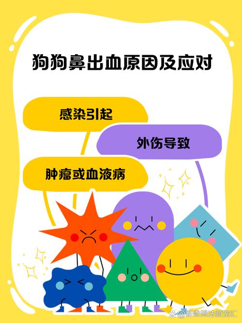 狗狗单鼻孔出血怎么办