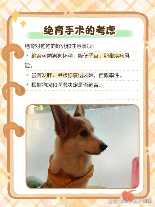 如何让刚配完种的狗狗配对不成,我家狗狗打野,我不想它怀仔,该怎么做...