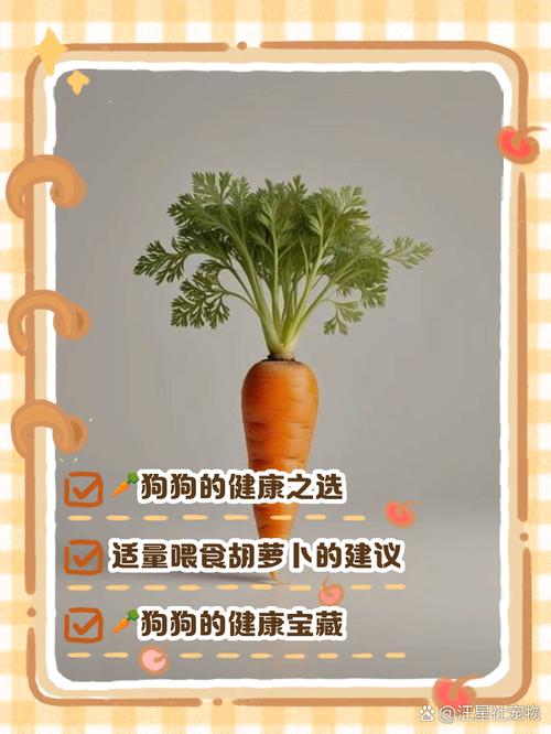 狗狗为什么要吃胡萝卜