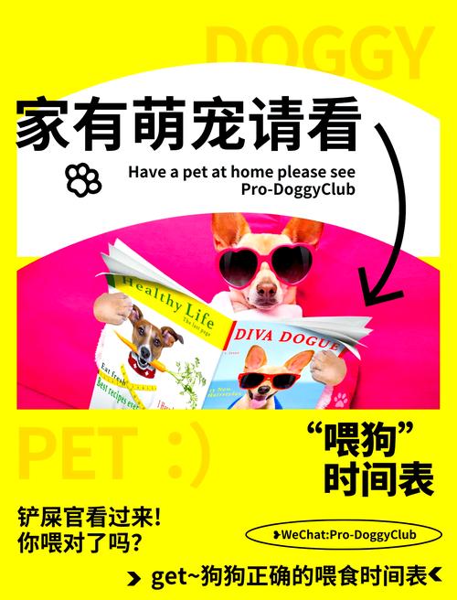 六个月的狗一天喂几次