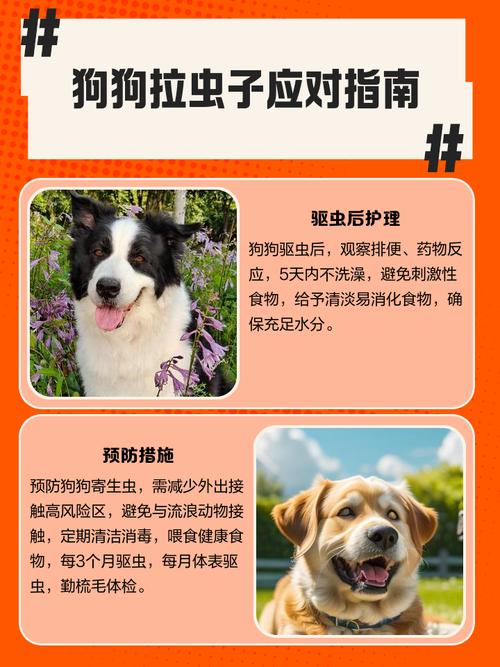 狗狗拉稀能吃驱虫药吗