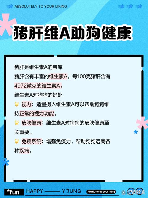 狗狗一天能吃多少猪肝