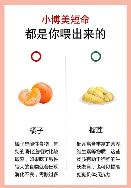 狗狗可以吃香蕉吗?为什么