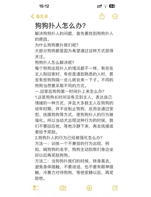 狗狗喜欢扑人怎么办如何训练狗狗不扑人
