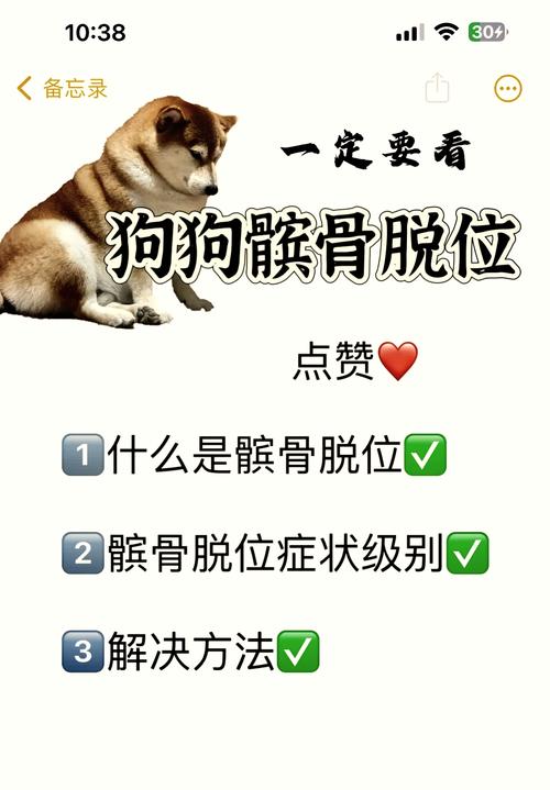 5个月的狗狗骨头错位,不治的话,会怎样