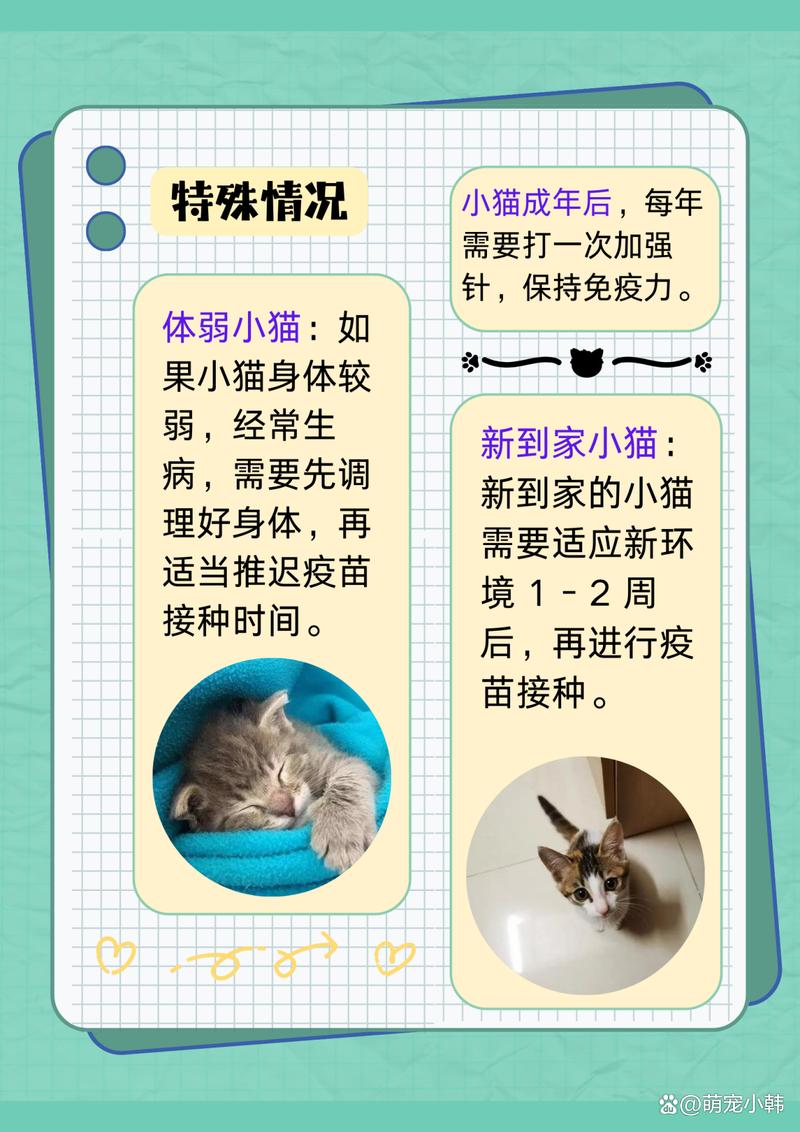 猫咪几个月可以打疫苗?