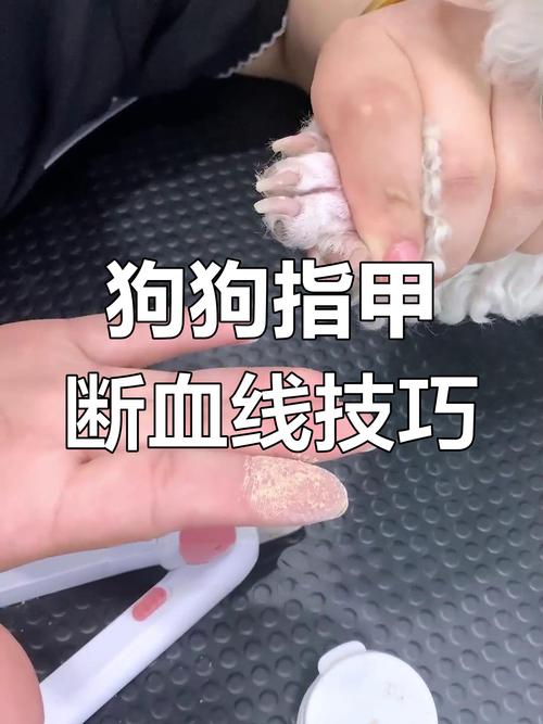 断血线后怎么护理