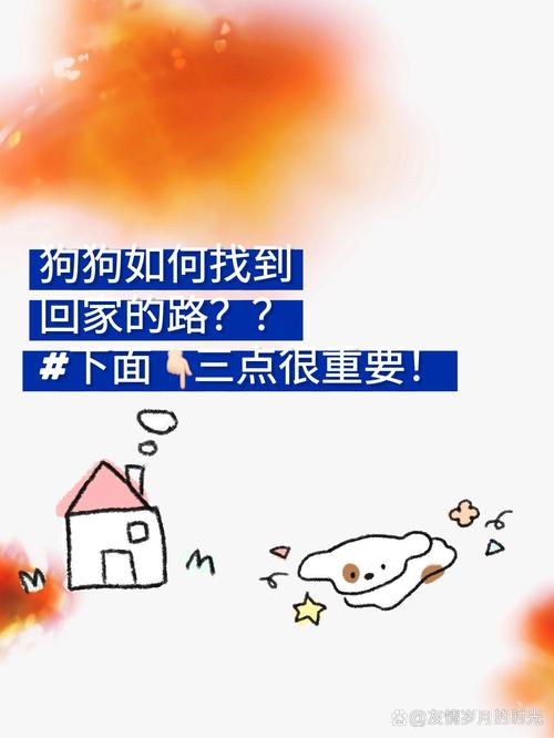 狗狗认识回家路吗