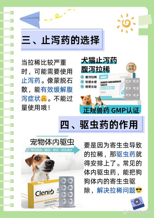 狗狗腹泻吃什么药