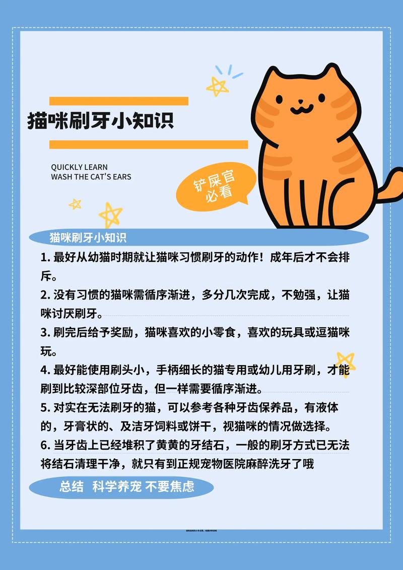 猫咪几个月开始刷牙