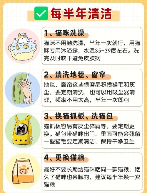 猫咪多久刷一次牙比较合适?