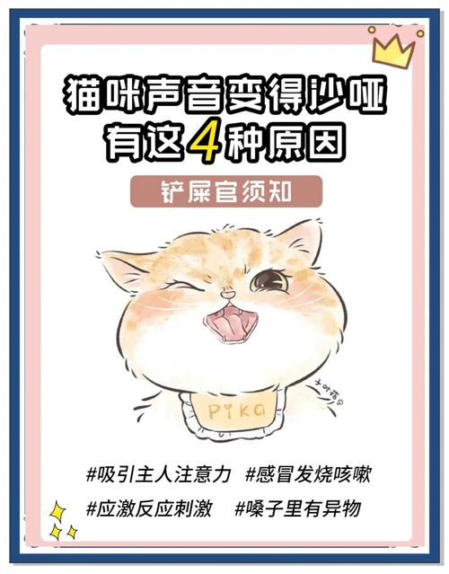 猫咪叫声沙哑而且叫声很小是怎么回事?