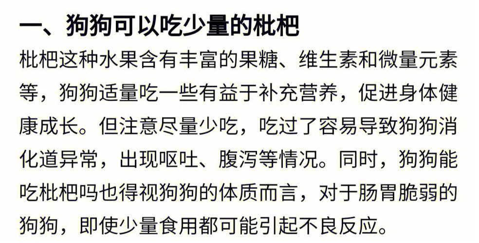 狗狗可不可以吃枇杷