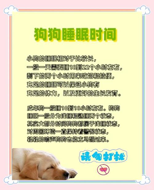 三个月的小狗一天要睡多久正常