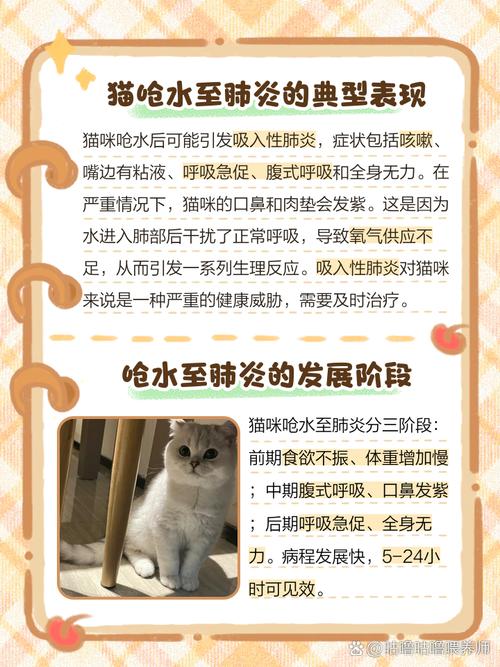 猫呛到了怎么办