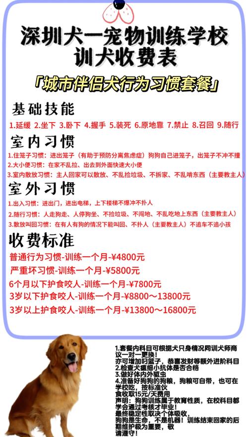 宠物训犬多少钱