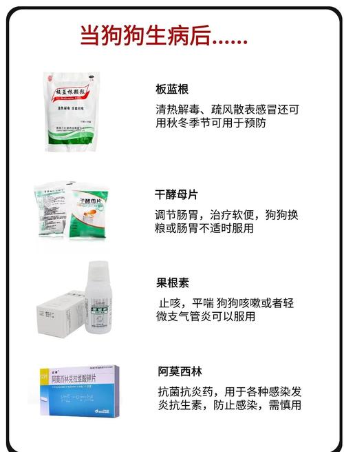 狗狗感冒用什么药