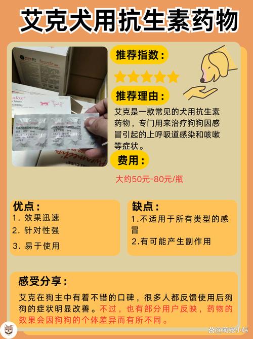 狗狗感冒咳嗽流鼻涕吃什么药